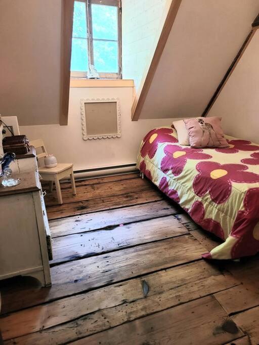 Om Chalet 1 Avec Spa Face Au Fleuve Saint-Jean Екстериор снимка